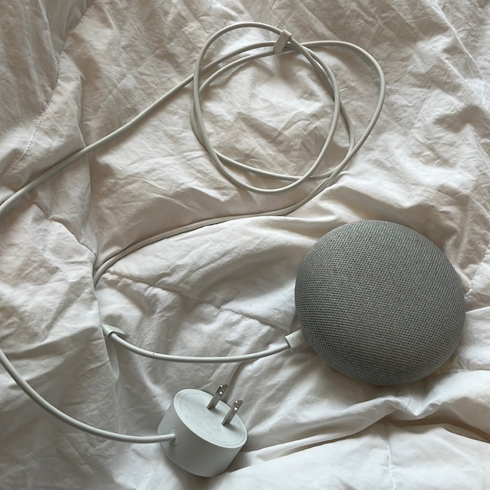 AUTHENTIC Mini google home